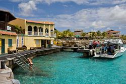 Bonaire Buddy Dives for FREE Offer